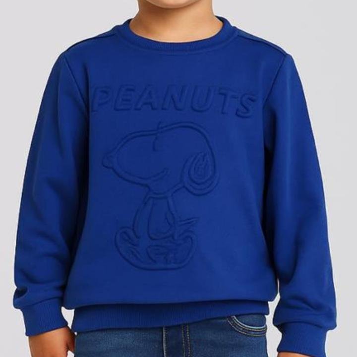 Boys Self Embosed Print Regular Fit Sweatshirt